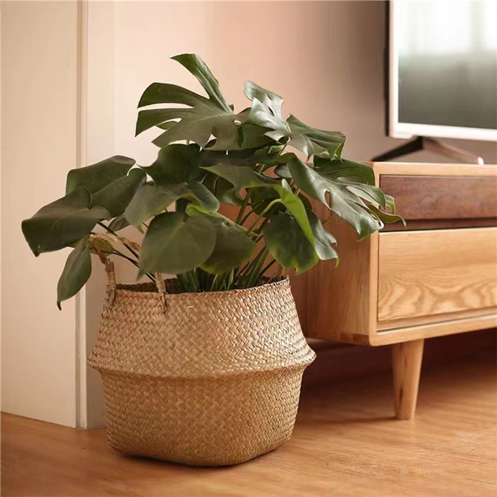 Keranjang Tanaman dengan Pegan - Basket Bag Wicker ulasan dan harga